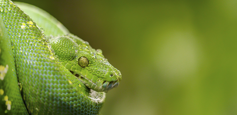 8. Platz Sieglinde Senser